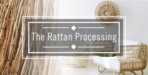 Rattan Processing Steps