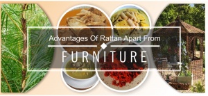 advantages of rattan